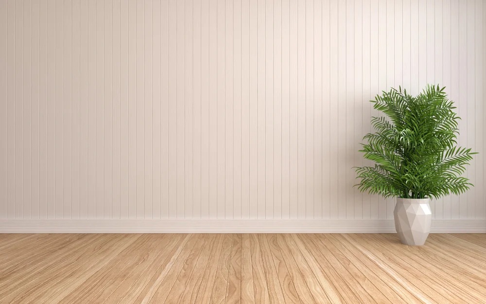 testimonial background